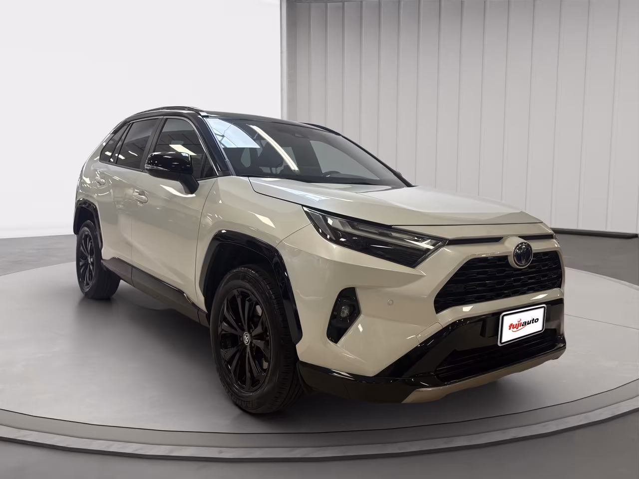 Toyota Rav4 2.5 vvt-ie h Style awd-i 222cv e-cvt