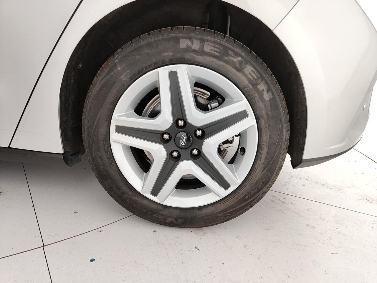 Ford Focus 1.5 EcoBlue 120 CV 5p. aut. Business
