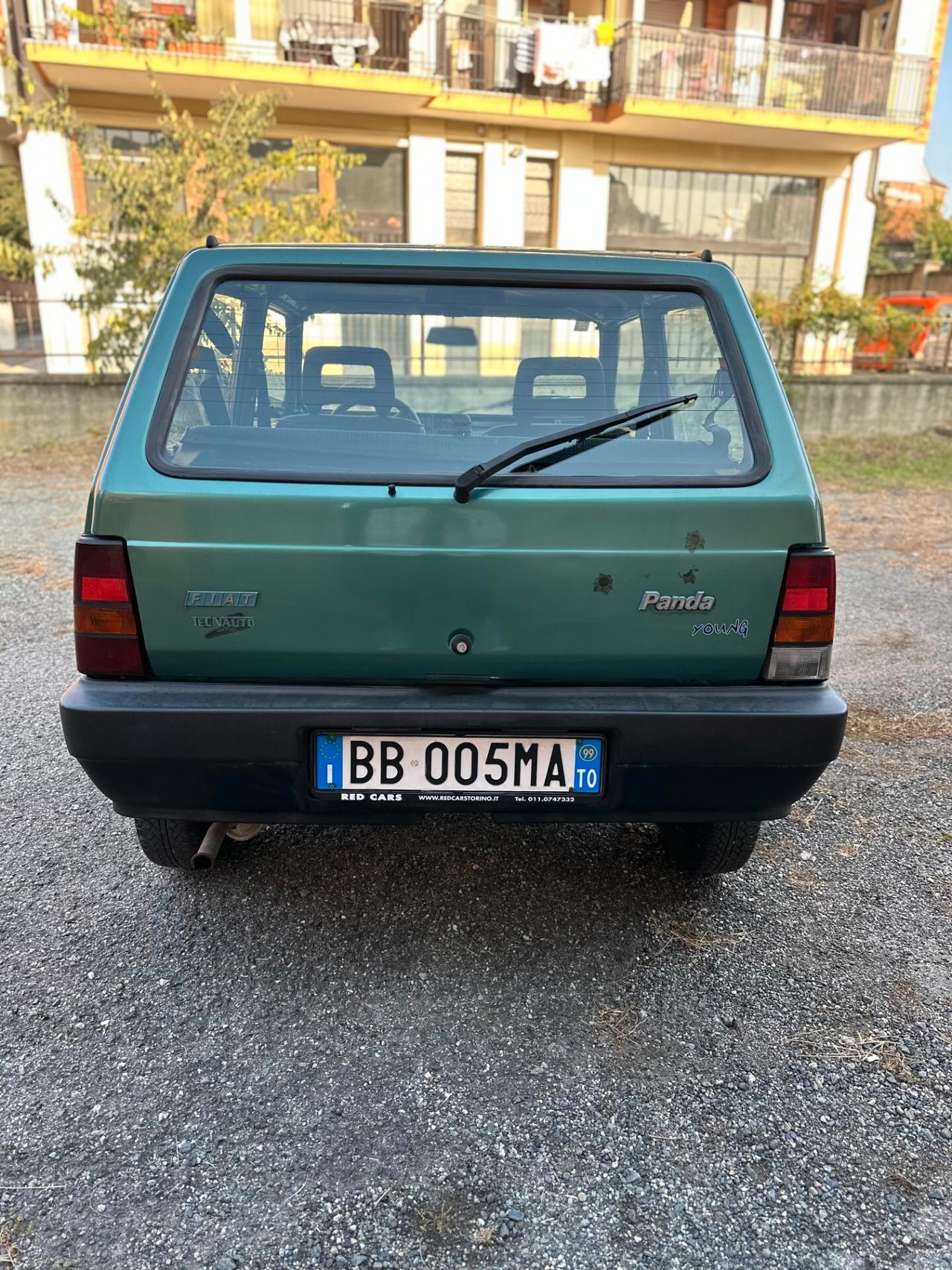 Fiat Panda 900 i.e. cat Young
