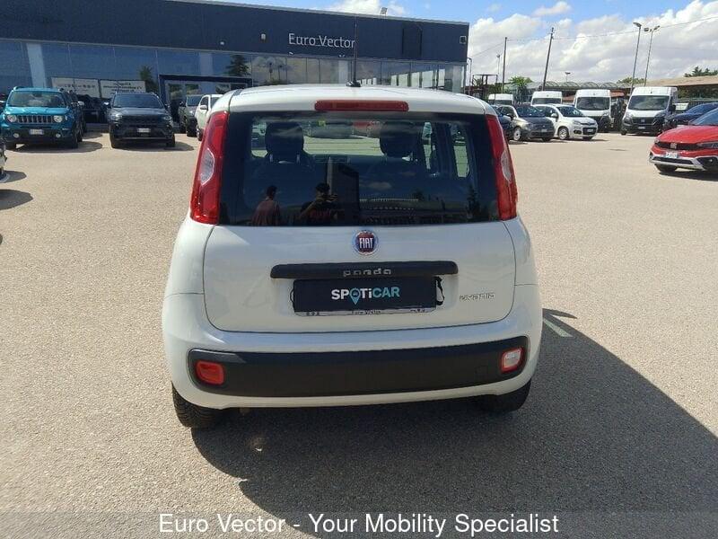 FIAT Panda Panda 1.0 FireFly S&S Hybrid Launch Edition