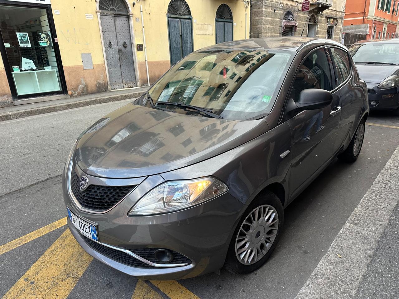 Lancia Ypsilon 1.3 MJT 16V 80 CV 5 porte S&S Platinum