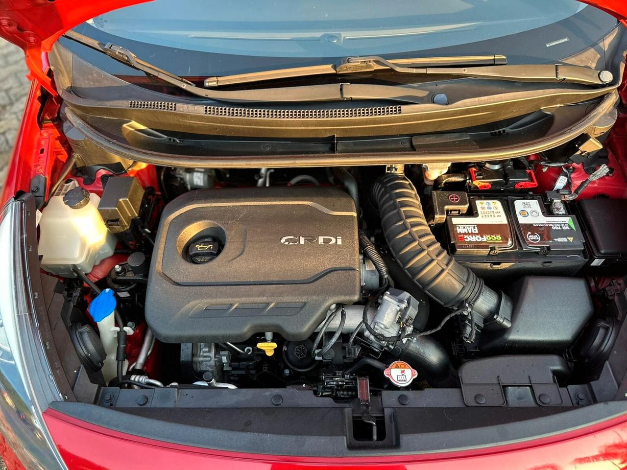 Kia Rio 1.1 CRDi WGT 5p ACTIVE OK PER NEOPATENTATI
