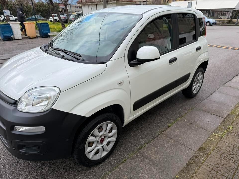 Fiat Panda 4x4 autocarro 2 posti