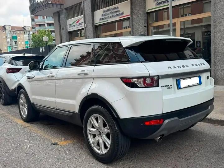 Land Rover Range Evoque 2.2 TD4 5p. Pure Tech Pack