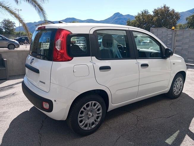 Fiat Panda 1.0 FireFly S&S Hybrid Icon