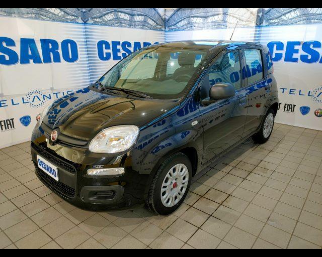 FIAT New Panda 1.0 firefly hybrid 70cv 5 posti