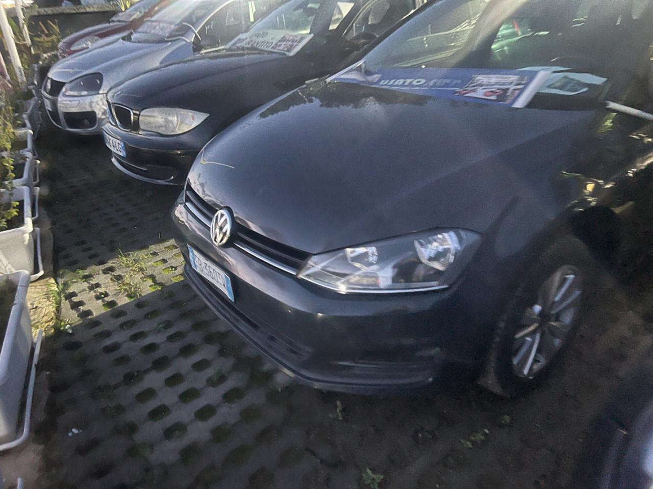 Volkswagen Golf 1.6 Tdi 105 cv Stescion anno 2016