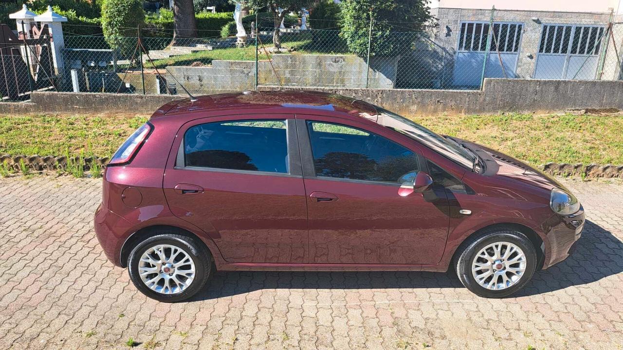 Fiat Punto 1.4 8V 5 porte Easypower Pop