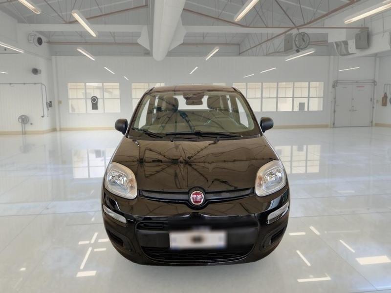 FIAT PANDA 1.0 FIREFLY 70 CV SES HYBRID 5 PORTE BERLINA