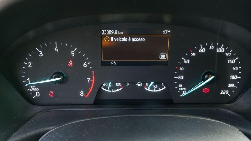 Ford Fiesta 1.0 EcoBoost Hybrid 125 CV 5 porte Business