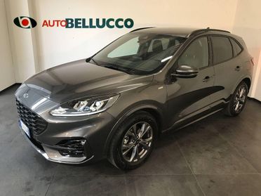 FORD Kuga 1.5 EcoBLUE 120 CV S&S 2WD ST-Line