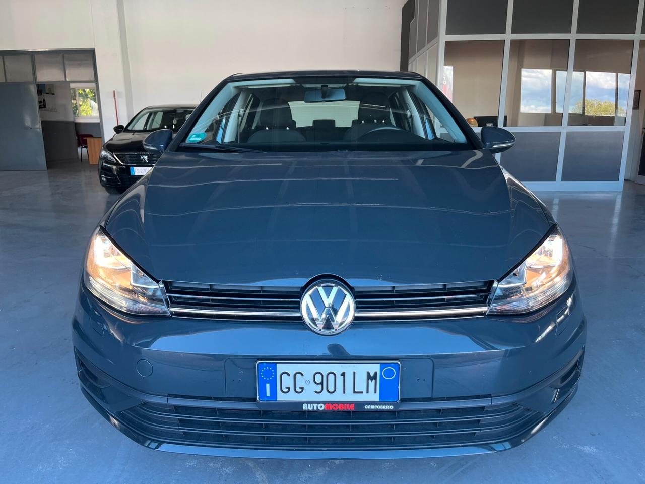 Volkswagen Golf 1.6 TDI 115 CV 5p. Business BlueMotion Technology