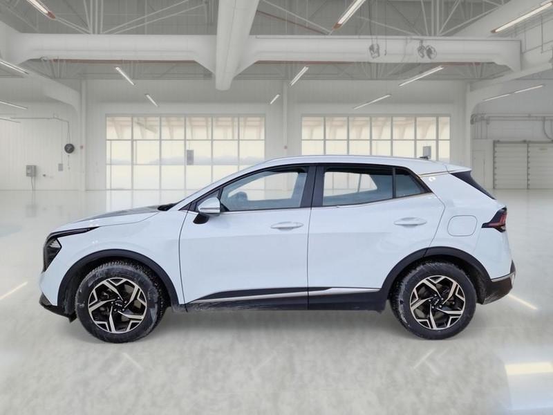 KIA SPORTAGE 1.6 DS MHEV DCT