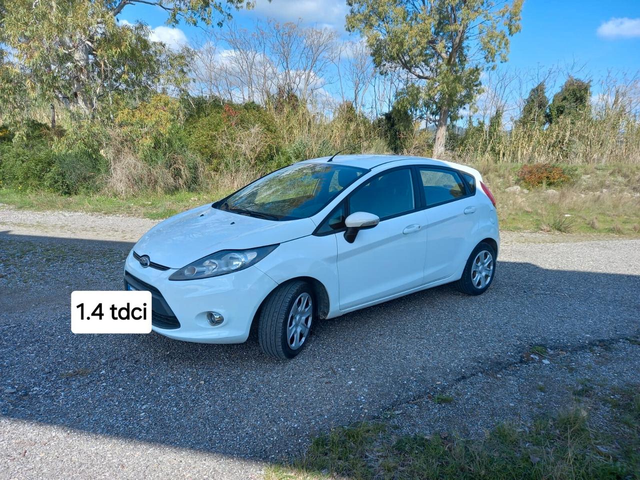 Ford Fiesta 1.4 TDCi 70CV 5 porte Titanium