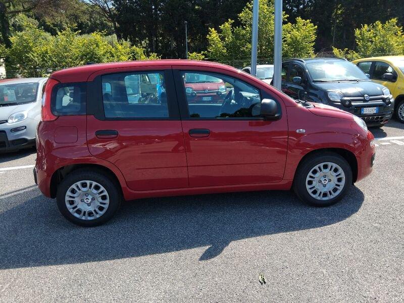 FIAT Panda New 1.0 70cv Hybrid Panda