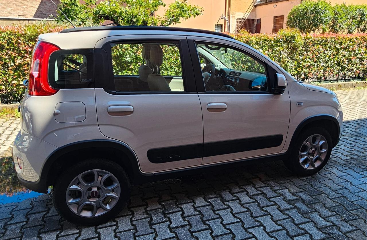 Fiat Panda 1.3 MJT S&S 4x4 Antartica