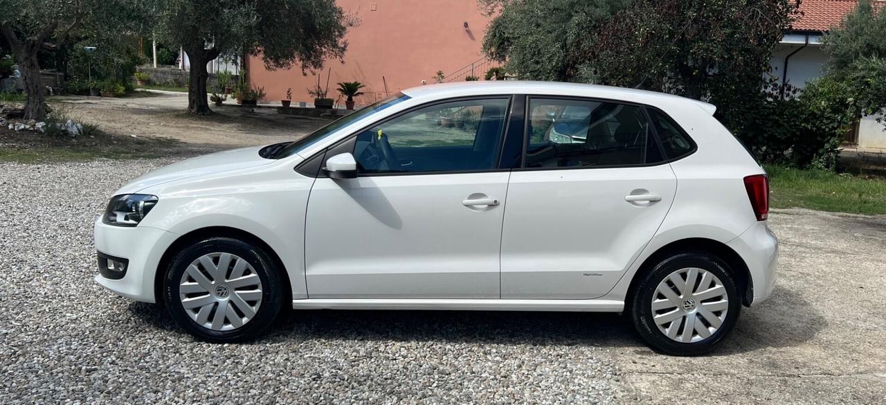 Volkswagen Polo 1.2 TDI 75 CV GARANZIA 12