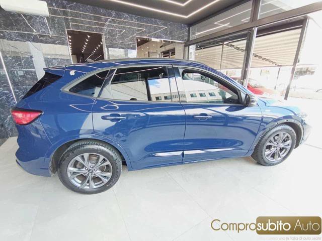 FORD Kuga 1.5 EcoBlue 120 CV 2WD Titanium Business