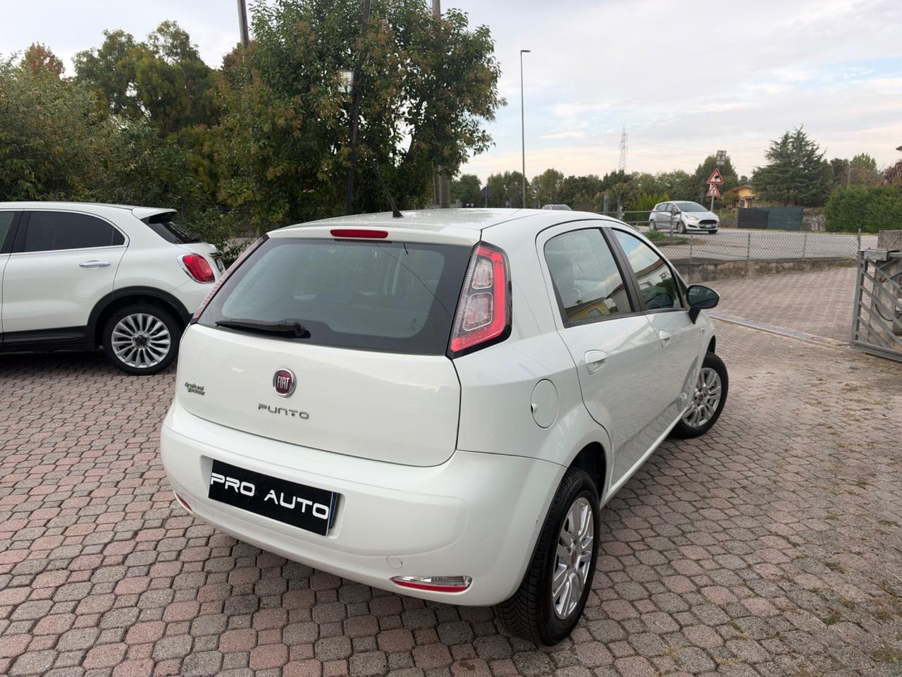 Fiat Punto Evo 1.4 5 porte Active Natural Power