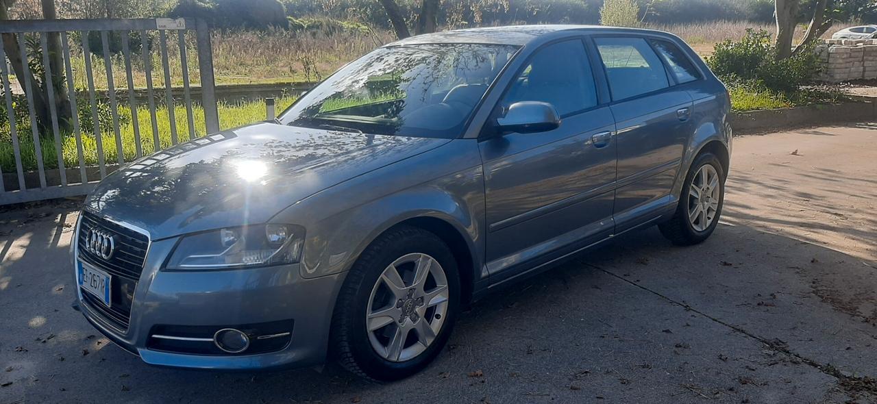 Audi A3 1.6 TDI 105 CV CR Ambition