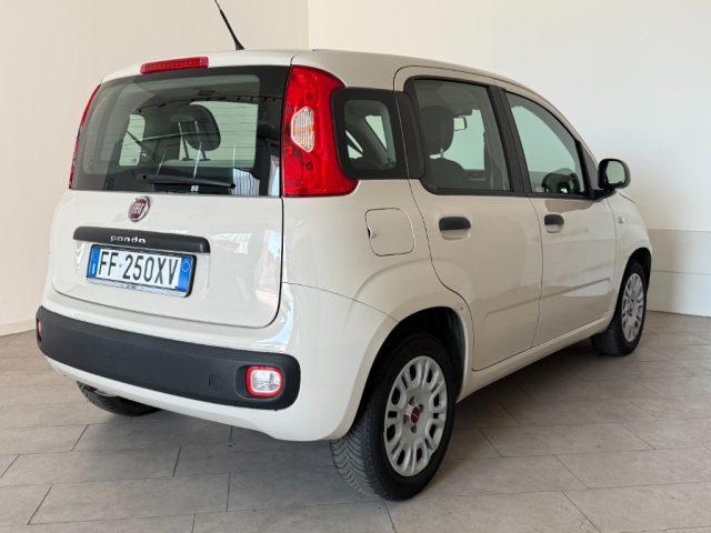 FIAT Panda 1.2 Pandazzurri