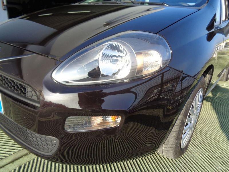 FIAT Punto Punto 1.2 8V 5 porte Lounge