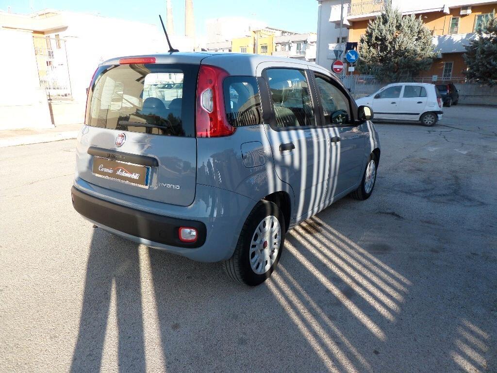 FIAT PANDA 1.0 FIREFLY HYBRID EASY - 5° Posto-Mp3-City