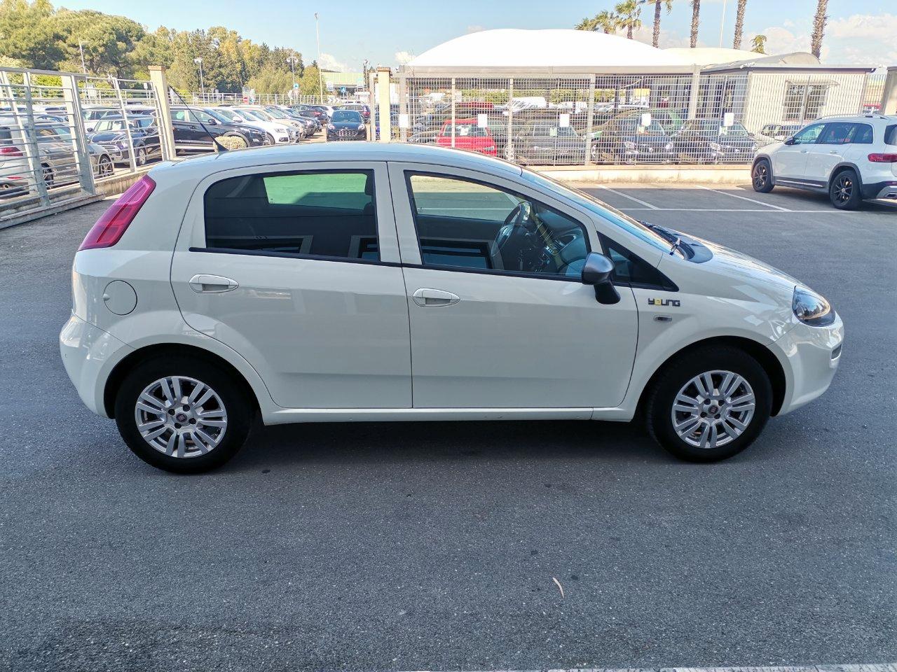 Fiat Punto 5 Porte Punto 5p 1.2 Young c/navi,radio