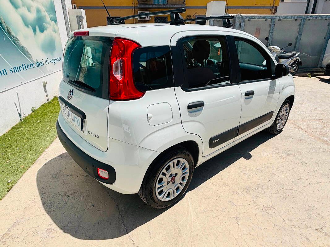 Fiat Panda 1.0 hybrid Launch Edition s&s 70cv
