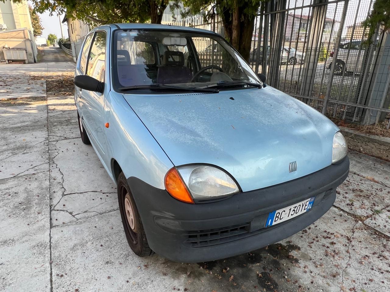 Fiat Seicento 900i cat Young