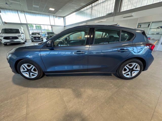 FORD Focus 1.5 EcoBlue 120 CV 5p. Business