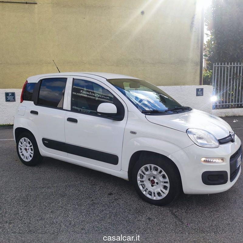 FIAT Panda Panda 1.3 MJT S&S Easy CON 24 MESI DI GARANZIA