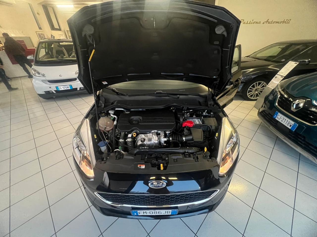 Ford Fiesta 1.5 TDCi 5 porte Titanium