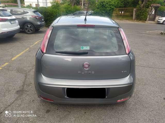 Fiat Punto Evo Punto Evo 5p 1.2 Active s