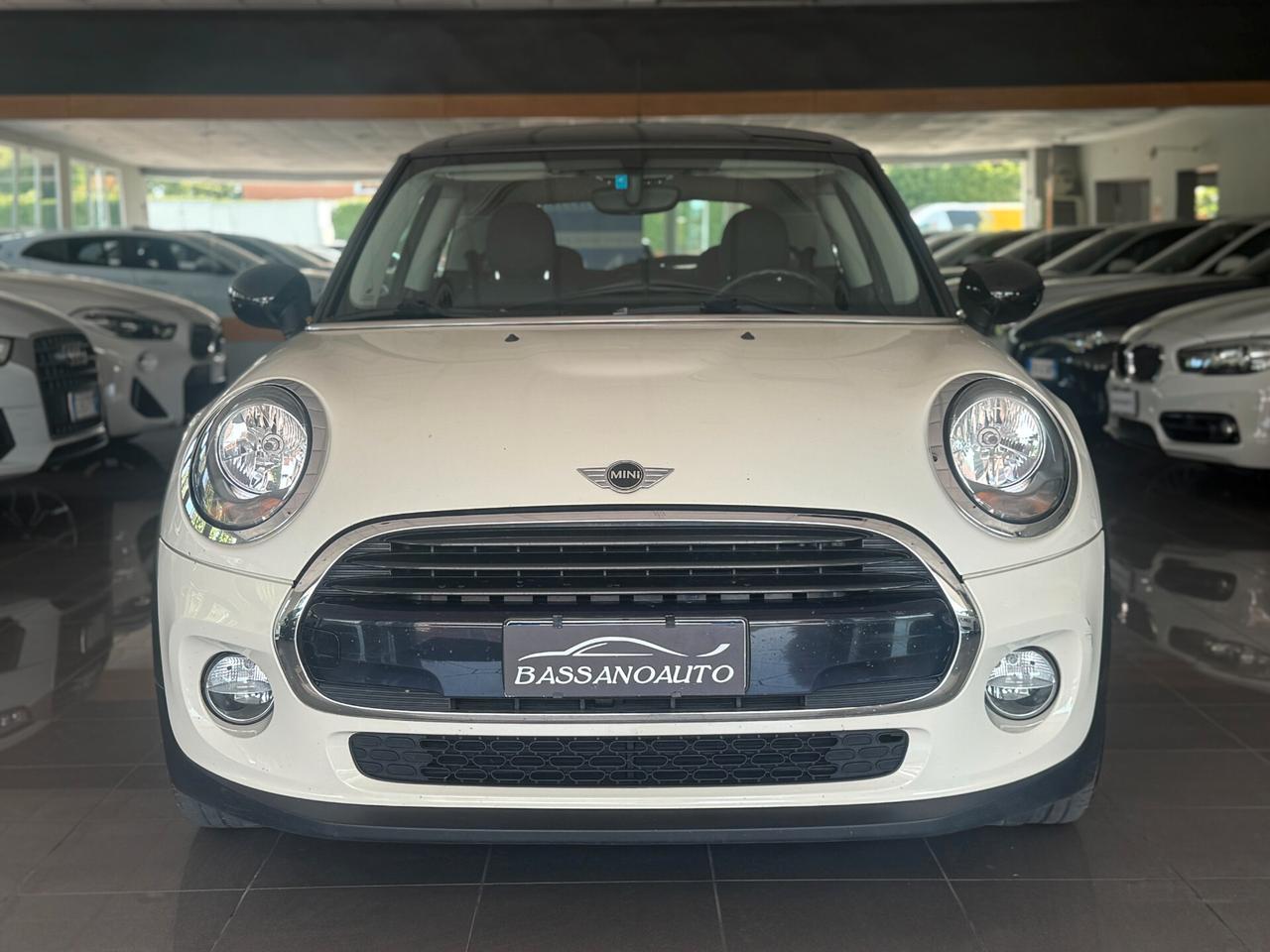 Mini 1.5 One D