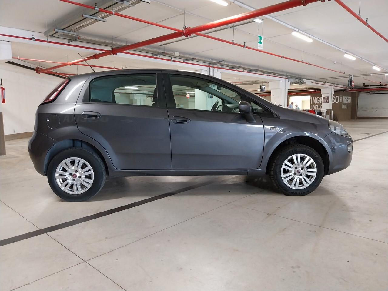 Fiat Punto Evo 1.4 Emotion Natural Power - ok neopatentati