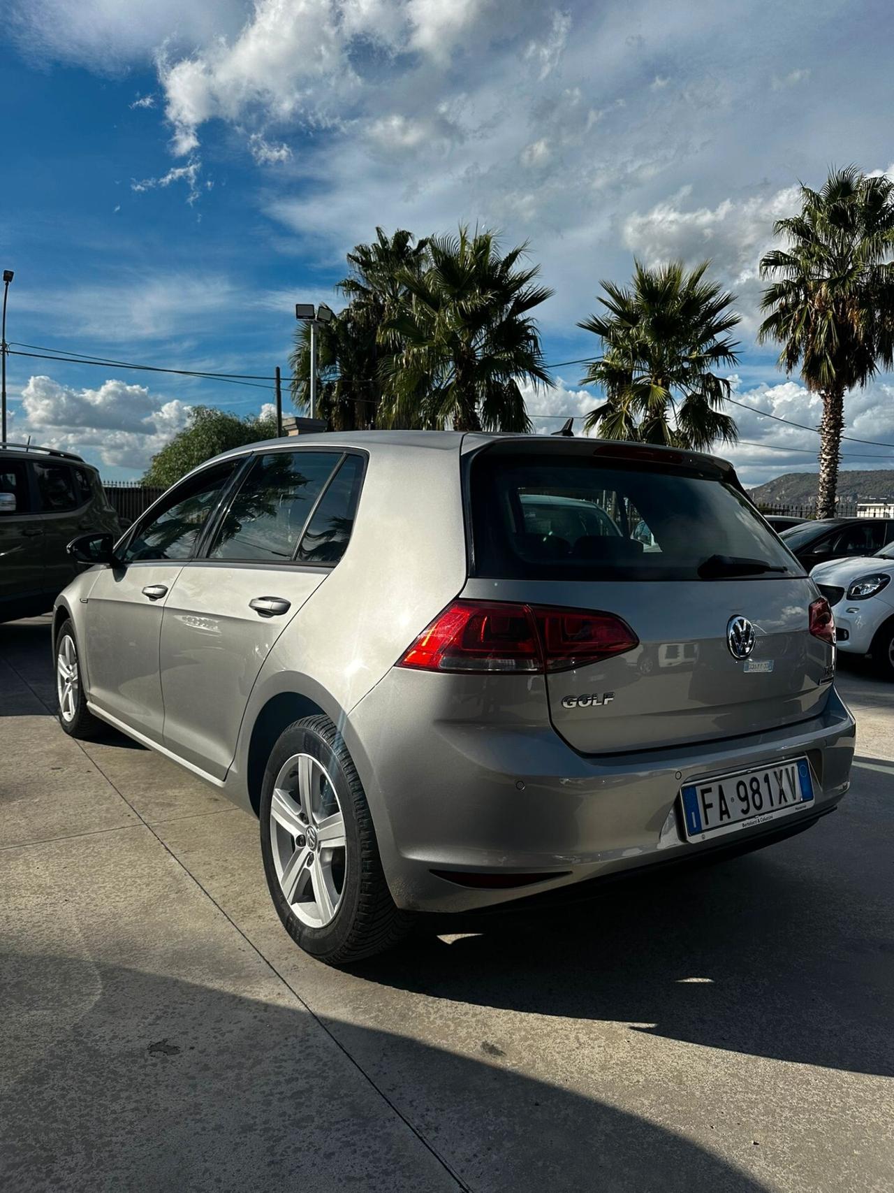 Volkswagen Golf 1.4 TGI 5p. Executive 4 Free BlueMotion