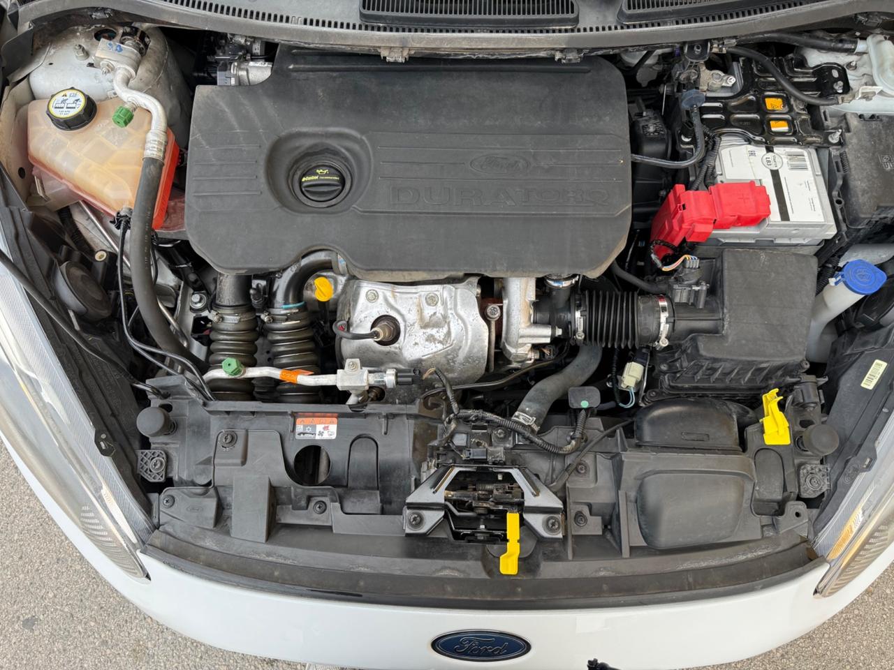 Ford Fiesta 1.5 TDCi 75CV 5 porte Titanium