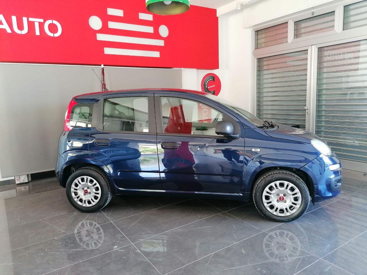 FIAT - Panda - 1.2 Easy