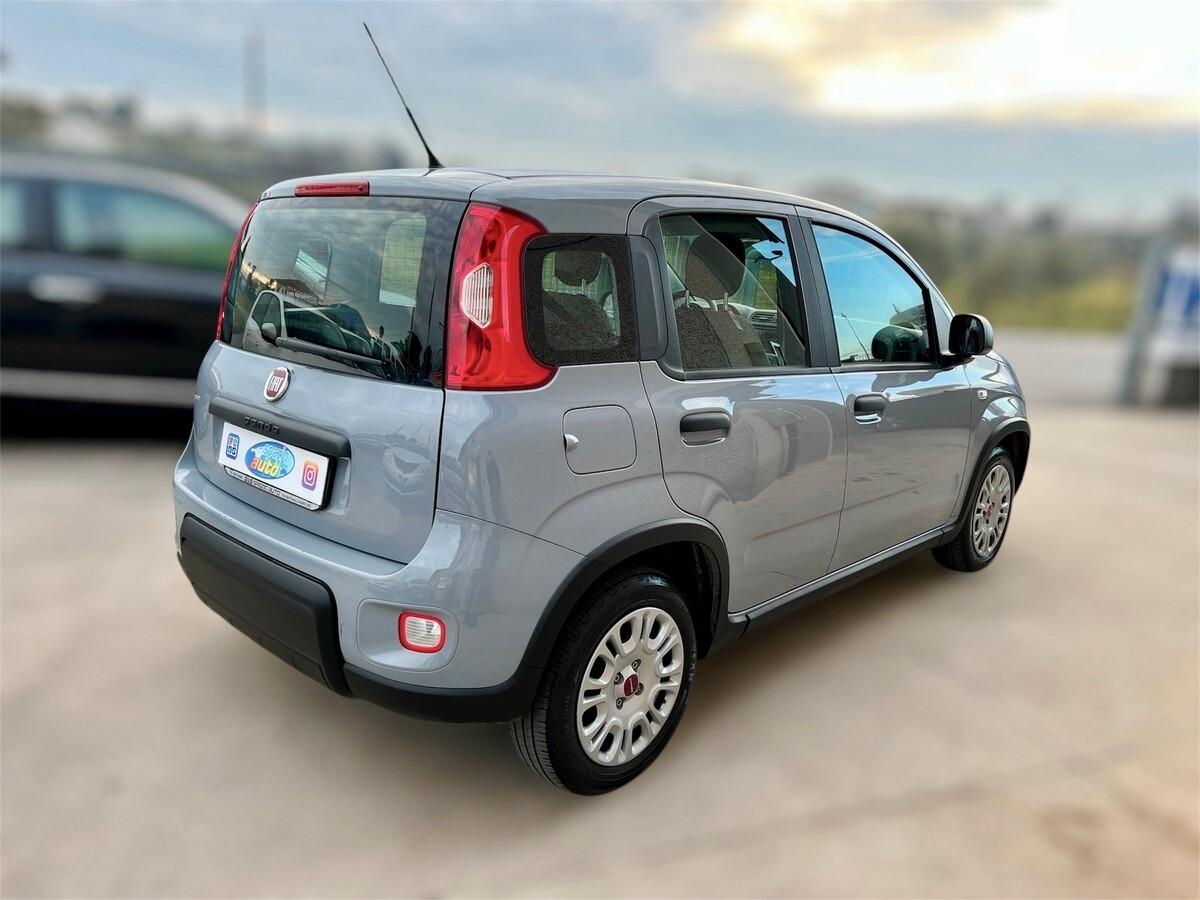 Fiat Panda 1.2 EasyPower Easy X NEOPATENTATI