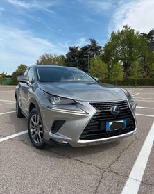 Lexus NX 300h NX Hybrid 4WD Executive
