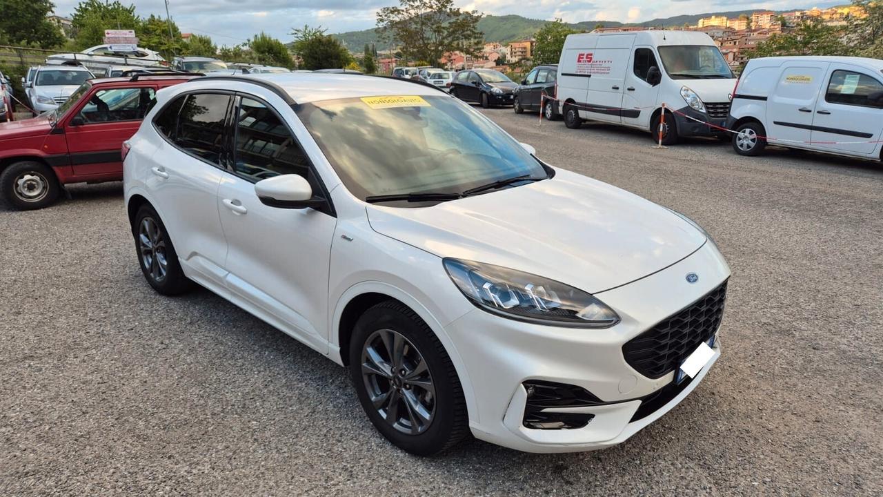 Ford Kuga 1.5 EcoBlue 120CV 2WD ST-Line X - 2021