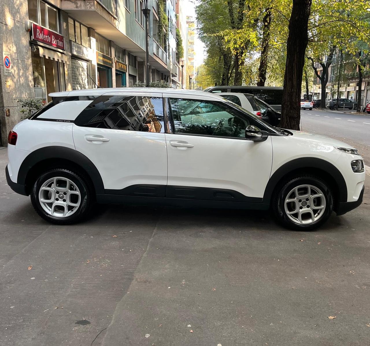 Citroen C4 Cactus BlueHDi 100 S&S Feel