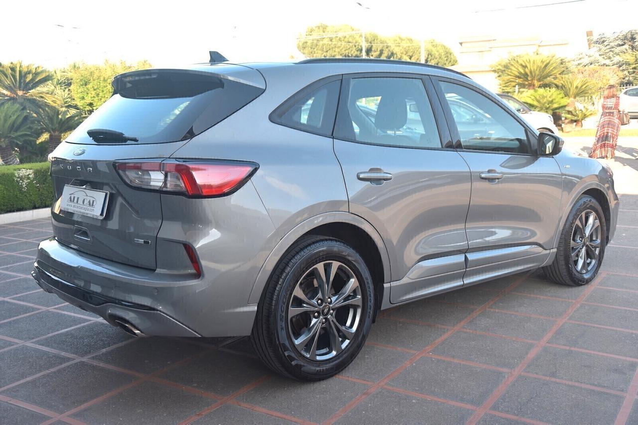 Ford Kuga 2.0 EcoBlue Hybrid 150 CV 2WD ST-Line