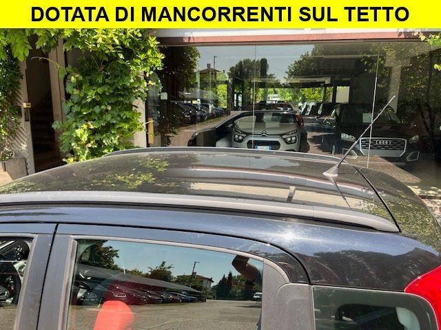 FIAT Panda 1.2 Benzina Neopatentati