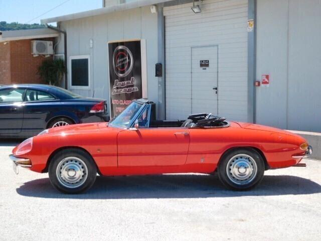 Alfa Romeo Spider 1.6 duetto osso di seppia -CRS --1967
