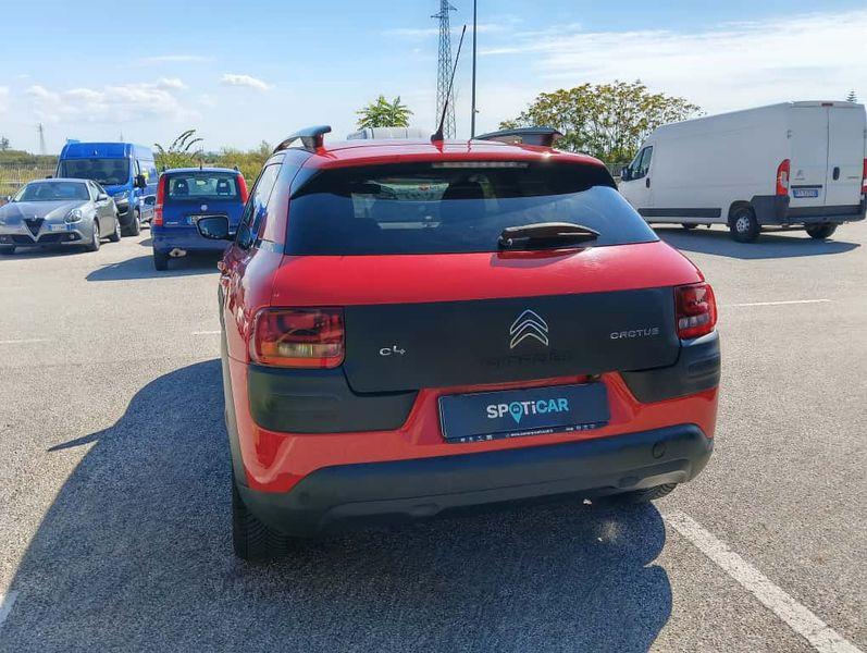 CITROEN C4 Cactus 1.6 bluehdi Shine 100cv