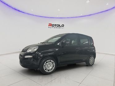FIAT Panda 3ª serie Panda 1.0 FireFly S&S Hybr...