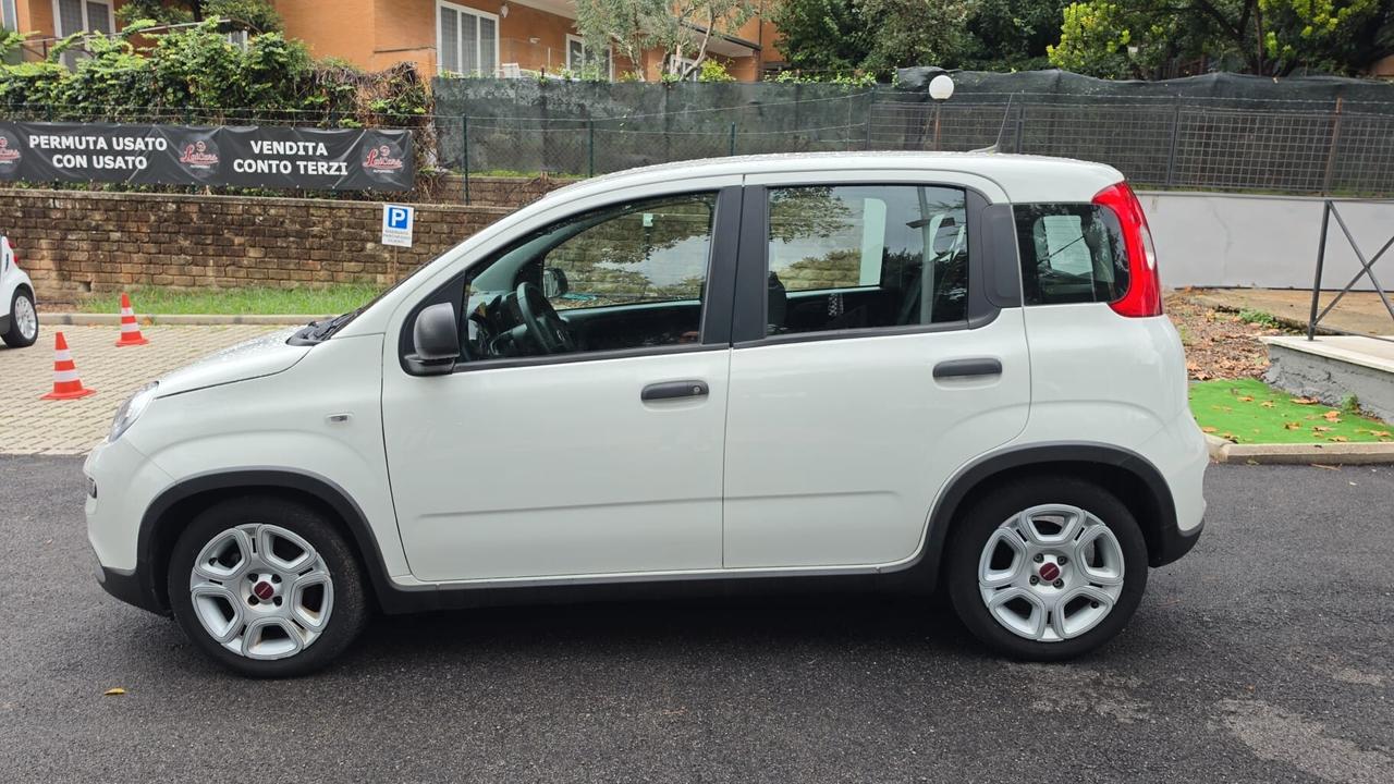 Fiat Panda 1.0 FireFly S&S Hybrid PREZZO IN OFFERTA PROMO FIN