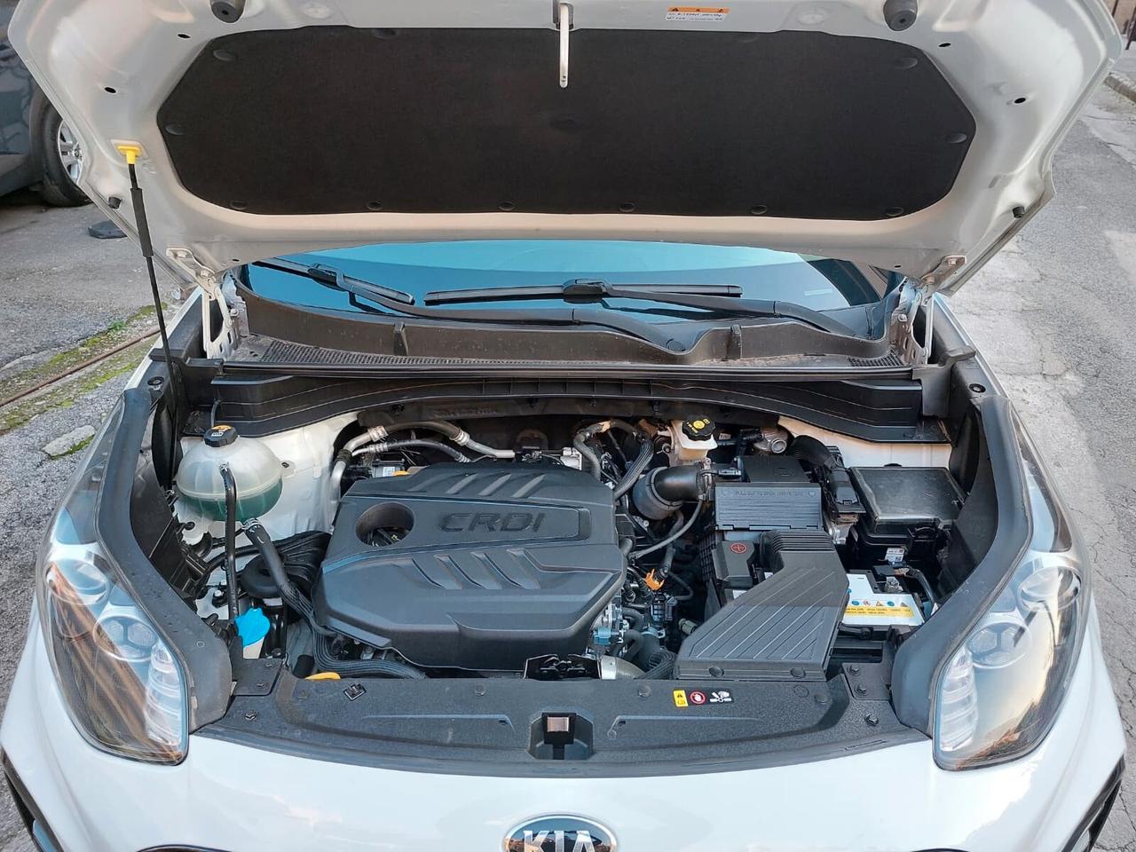 Kia Sportage 1.6 CRDI 115 CV 2WD Business Class